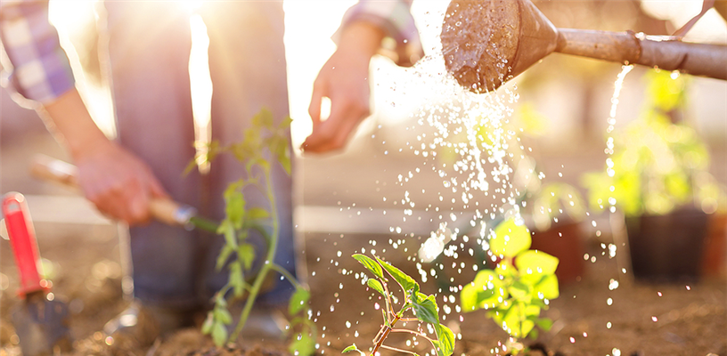 Gardening for Everyone